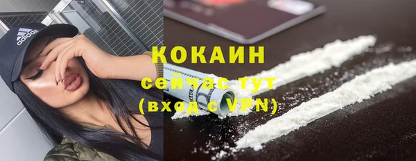 меф Арсеньев