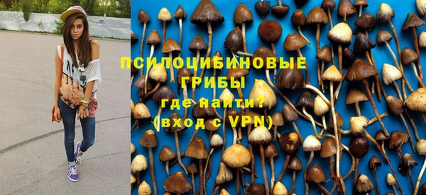 ПСИЛОЦИБИНОВЫЕ ГРИБЫ Аркадак