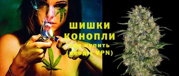 ПСИЛОЦИБИНОВЫЕ ГРИБЫ Аркадак
